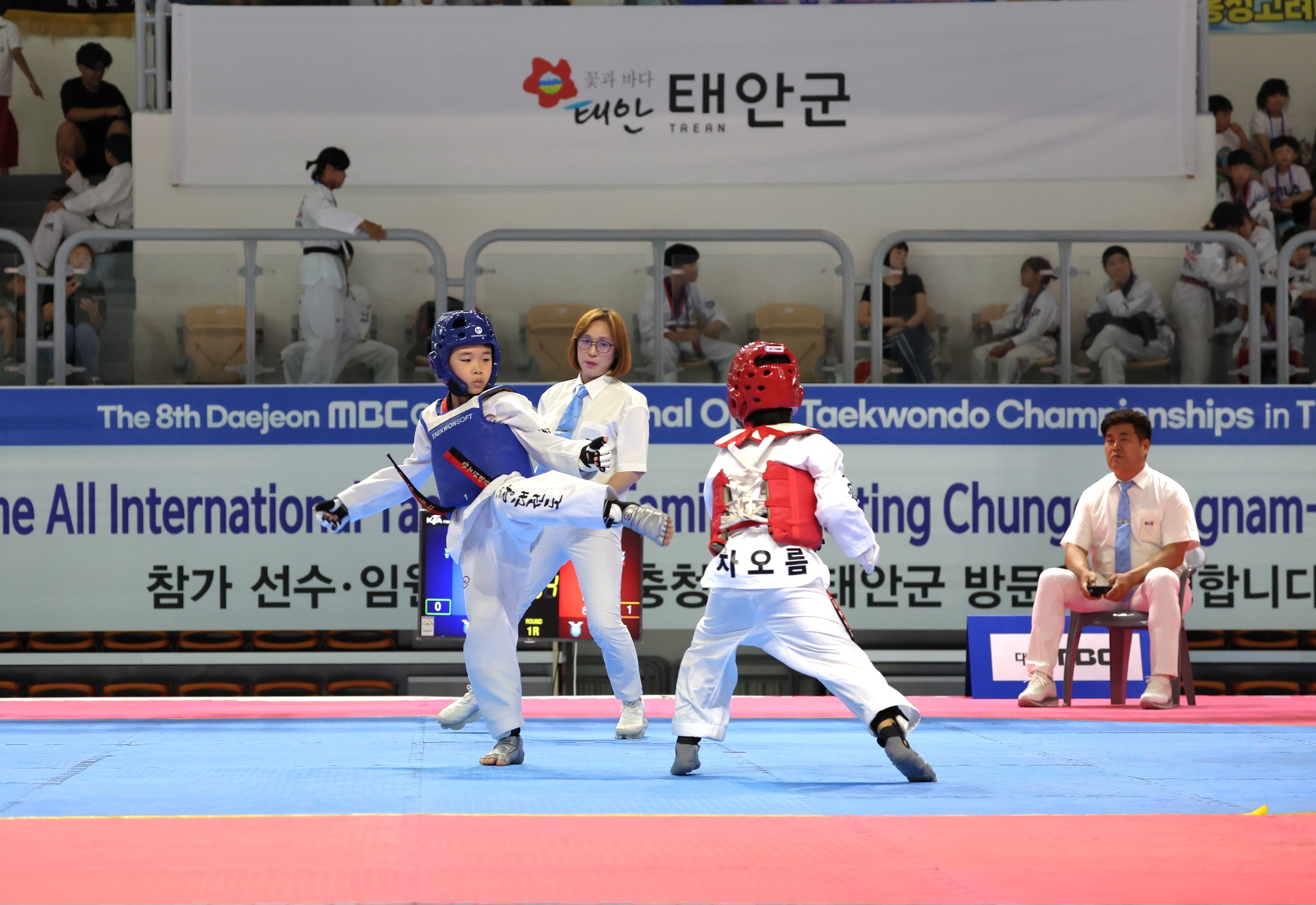 대전MBC배 태안 국제오픈 태권도 대회’, 6일 간의 열전 돌입!