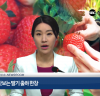 서산방송 주간뉴스 24회